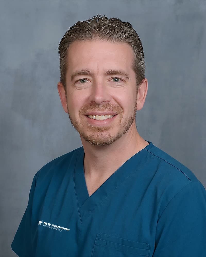 New Hampshire Veterinary Dentistry veterinary dental team